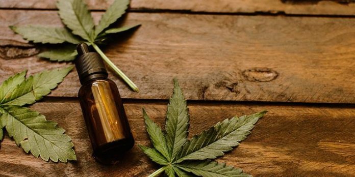 Il ruolo dell'IA nell'industria della cannabis in continua crescita Il ruolo dell'IA nell'industria della cannabis in continua crescita