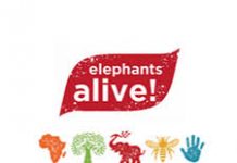 PC Dell al servizio dell’associazione no profit Elephant Alive pc dell