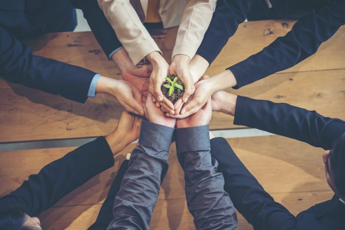 Green Business Meeting. United Partners Team with hands together holding plant green trusted friends. Hands stacked Holding with sustainability partners. Trust business authentic of people. Greenpeace Italia presenta la nuova piattaforma digitale