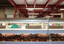 Giotto: il sito produttivo è più efficiente e sostenibile con Siemens Giotto