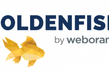 GoldenFish: un mondo cookieless con Weborama GoldenFish