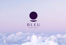 Bleu: la nuova società di Capgemini e Orange Bleu