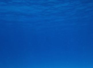 Hikvision regala 10 telecamere per le tartarughe marine