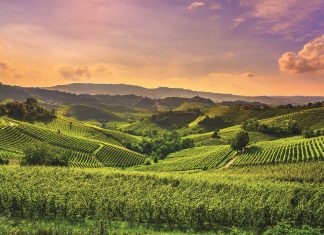 CAI, Consorzi Agrari d’Italia