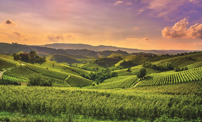 Langhe vineyards view, Castiglione Falletto and La Morra, Piedmo CAI, Consorzi Agrari d’Italia