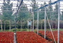 Smart Agricolture: in crescita del 17% grazie all’IoT Smart Agricolture