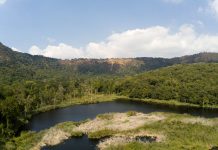 WWF e Huawei insieme per proteggere e conservare la biodiversità WWF