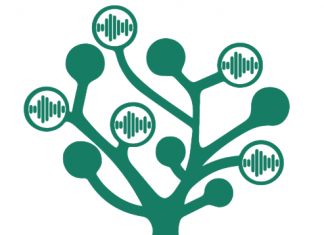 TreeVoice: monitora gli alberi della capitale con LoRaWAN