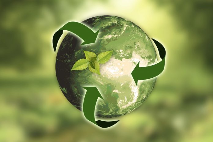 Transizione ecologica: il cambiamento inizia in azienda