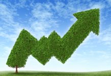 Sostenibilità dei brand sempre più interessante per gli italiani sostenibilità dei brand