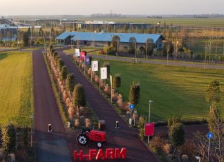H-FARM