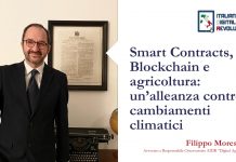 Smart Contracts: utili per combattere il cambiamento climatico smart contracts