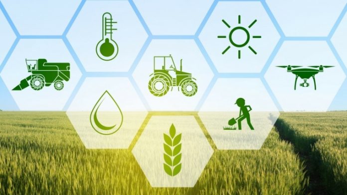 Startup agrifood Food and beverage: digitalizzazione e gestione data-driven
