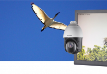 Sustenia: telecamere Hikvision per proteggere la biodiversità sustenia