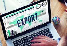 Export Digitale: la chiave per la ripresa post-pandemia export digitale