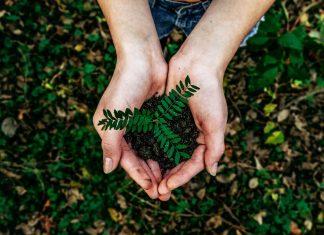 Sostenibilità, sempre più interesse per ESG e Carbon Footprint
