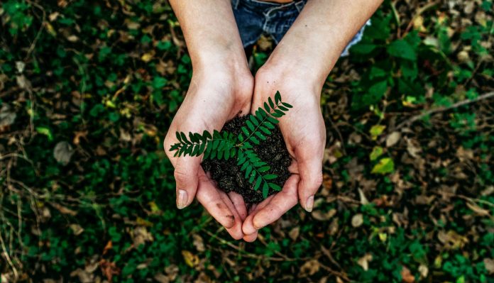 immagine Sostenibilità, sempre più interesse per ESG e Carbon Footprint