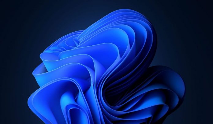 Windows 11 Windows 11