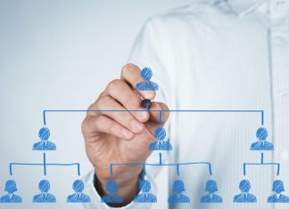 intelligenza organizzativa