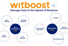 witboost