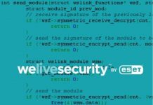 Loader maligno Wslink: il codice scoperto da ESET loader maligno