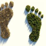 impronta ecologica aziendale