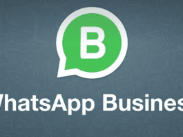 Backup e Ripristino di WhatsApp Business su Android: la guida completa - WhatsApp Business APi