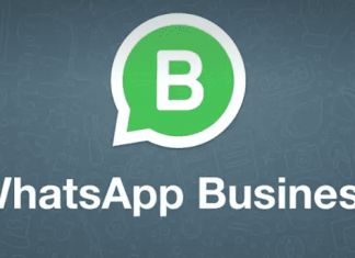 Backup e Ripristino di WhatsApp Business su Android: la guida completa - WhatsApp Business APi