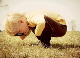 Curiosità: una skill sempre più importante in piena “Great Resignation”