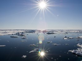Analog Devices stanzia 3 milioni per la tutela degli oceani