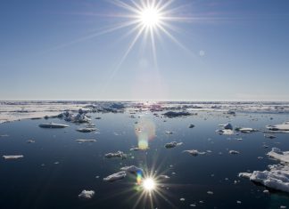Analog Devices stanzia 3 milioni per la tutela degli oceani