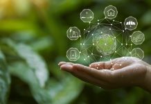 Digital Carbon Footprint: i 3 passaggi sostenibili di IAB Italia digital carbon footprint