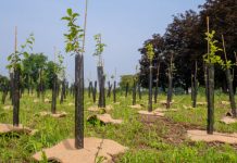 Econocom Italia e zeroCO2 presentano un nuovo progetto econocom
