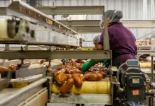 L’industria alimentare deve proteggersi sempre più dai cyber attacchi Industria alimentare