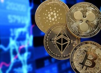 criptovalute
