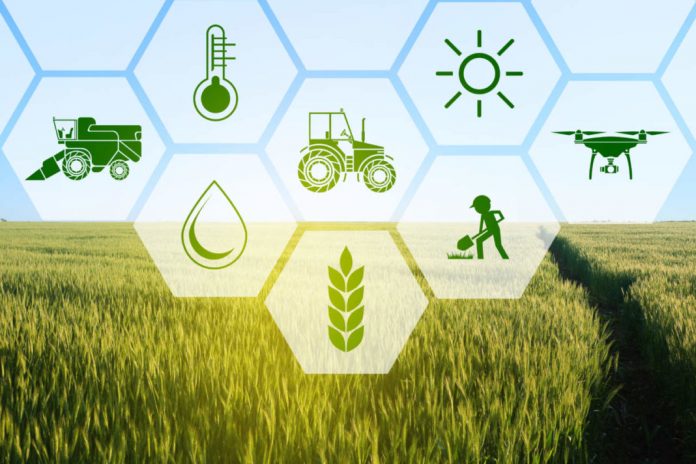 agricoltura italiana agricoltura italiana