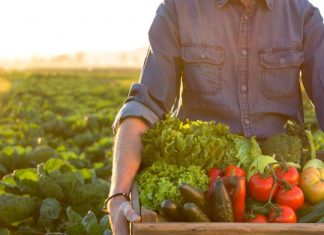 Agrifood