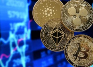 decreto criptovalute