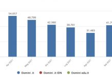 domini registrati