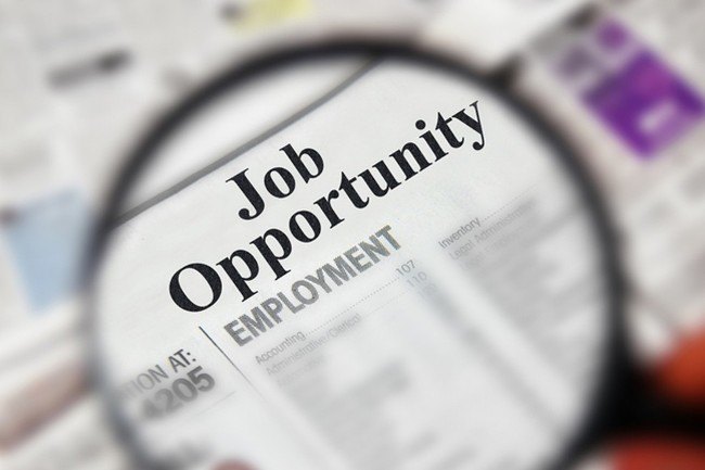 opportunità di lavoro opportunità di lavoro