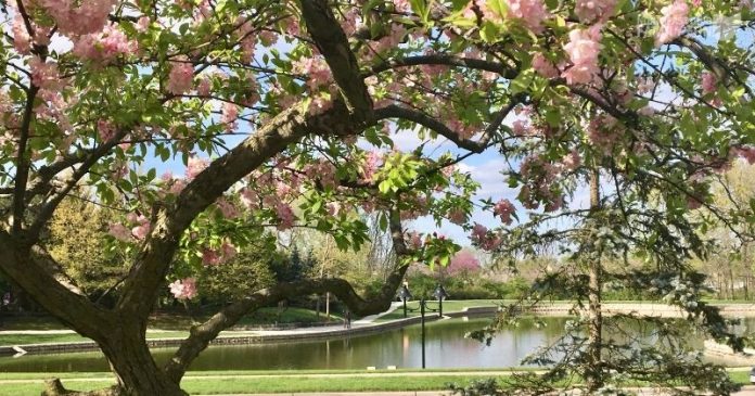 Fun Things To Do This Spring Fun Things To Do This Spring