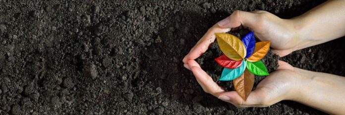 Ambiente e sostenibilità Ambiente e sostenibilità