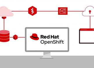Database su container