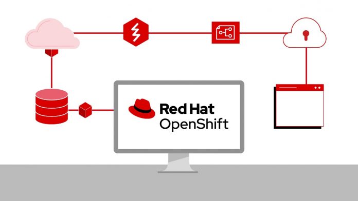 Database su container