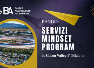 Mindset Program