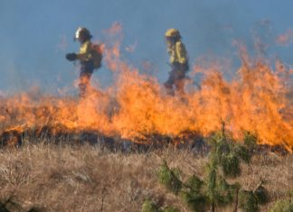 Contrastare gli incendi