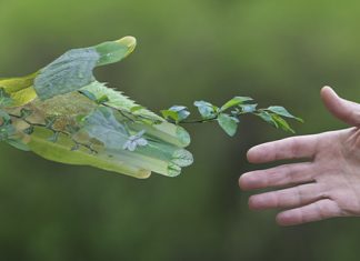 Consumatori sostenibili