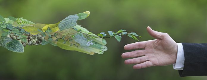 Consumatori sostenibili Consumatori sostenibili
