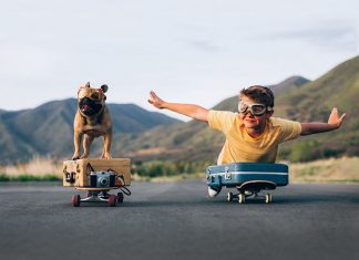 EY Startup Academy