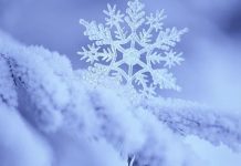 Autunno caldo e inverno freddo? Ecco alcuni rimedi per ovviare ai rincari inverno freddo